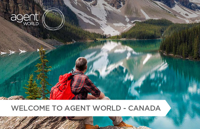 Welcome to Agent World.